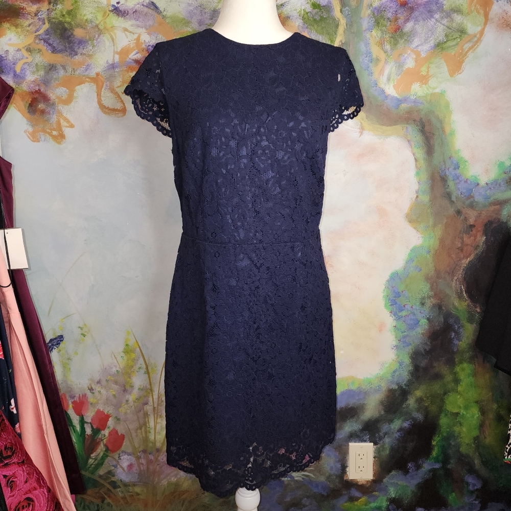 NWOT/EUC Navy Blue Lace Knee-length Sheath Dress w/Open Back Button Neck Closure